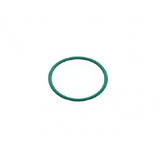 Gasket FPM