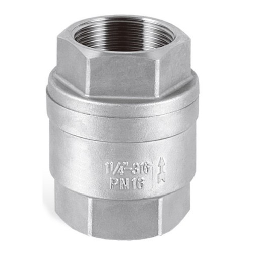2-PC Spring vertical check valve threaded